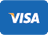 Visa payment icon