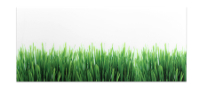 View Acrylic Splashback Grass Acrylic Splashback Grass Colour Example for Kitchen